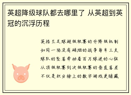 英超降级球队都去哪里了 从英超到英冠的沉浮历程